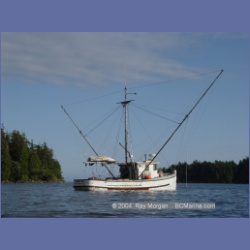 2003_2996_Hot_Springs_Cove.html