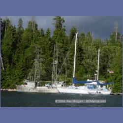 2003_3001_Hot_Springs_Cove.html
