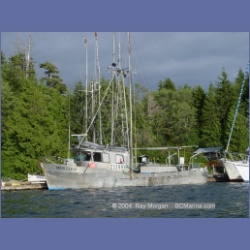 2003_3004_Hot_Springs_Cove.html