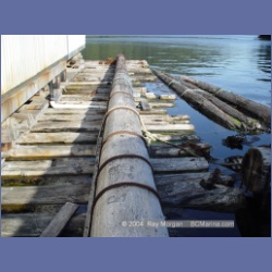 2003_1642_Houghton_Woodlot_Mereworth_Sound.html