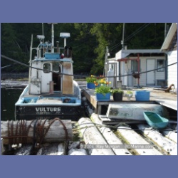 2003_1645_Houghton_Woodlot_Mereworth_Sound.html