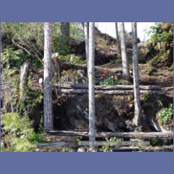 2003_1658_Houghton_Woodlot_Mereworth_Sound.html