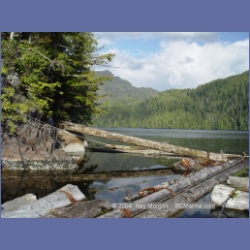 2003_1661_Houghton_Woodlot_Mereworth_Sound.html