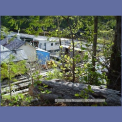 2003_1662_Houghton_Woodlot_Mereworth_Sound.html