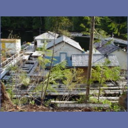 2003_1664_Houghton_Woodlot_Mereworth_Sound.html