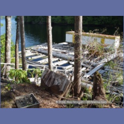 2003_1665_Houghton_Woodlot_Mereworth_Sound.html