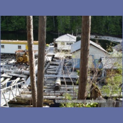 2003_1666_Houghton_Woodlot_Mereworth_Sound.html