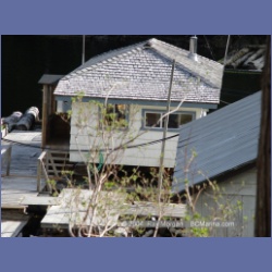 2003_1667_Houghton_Woodlot_Mereworth_Sound.html