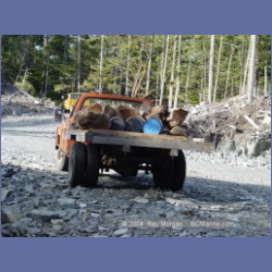 2003_1668_Houghton_Woodlot_Mereworth_Sound.html