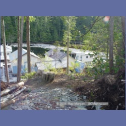 2003_1669_Houghton_Woodlot_Mereworth_Sound.html