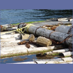 2003_1672_Houghton_Woodlot_Mereworth_Sound.html