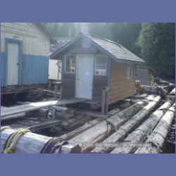 2003_1675_Houghton_Woodlot_Mereworth_Sound.html