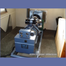 2003_1678_Houghton_Woodlot_Mereworth_Sound.html
