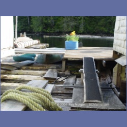 2003_1679_Houghton_Woodlot_Mereworth_Sound.html