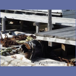 2003_1684_Houghton_Woodlot_Mereworth_Sound.html