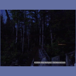 2003_1692_Houghton_Woodlot_Mereworth_Sound.html