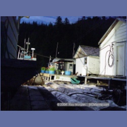 2003_1696_Houghton_Woodlot_Mereworth_Sound.html