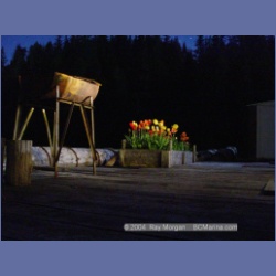 2003_1697_Houghton_Woodlot_Mereworth_Sound.html
