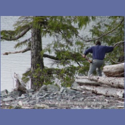 2003_1710_Houghton_Woodlot_Mereworth_Sound.html