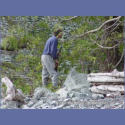 2003_1711_Houghton_Woodlot_Mereworth_Sound.html