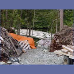 2003_1716_Houghton_Woodlot_Mereworth_Sound.html