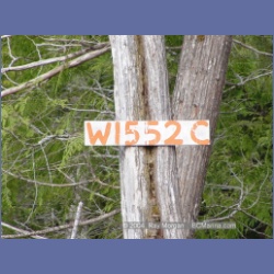 2003_1719_Houghton_Woodlot_Mereworth_Sound.html