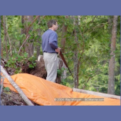 2003_1720_Houghton_Woodlot_Mereworth_Sound.html