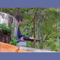 2003_1722_Houghton_Woodlot_Mereworth_Sound.html
