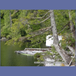 2003_1724_Houghton_Woodlot_Mereworth_Sound.html