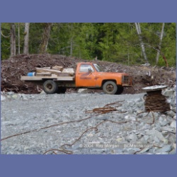 2003_1725_Houghton_Woodlot_Mereworth_Sound.html