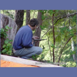 2003_1726_Houghton_Woodlot_Mereworth_Sound.html