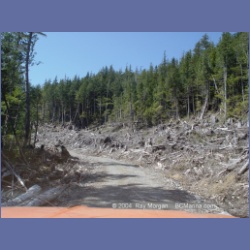 2003_1736_Houghton_Woodlot_Mereworth_Sound.html