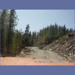2003_1738_Houghton_Woodlot_Mereworth_Sound.html