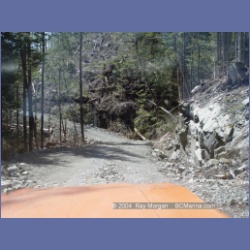 2003_1739_Houghton_Woodlot_Mereworth_Sound.html