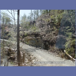 2003_1740_Houghton_Woodlot_Mereworth_Sound.html