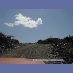 2003_1741_Houghton_Woodlot_Mereworth_Sound.html