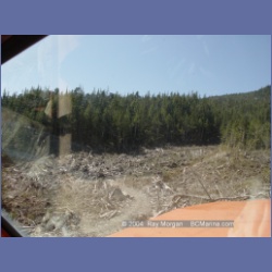2003_1742_Houghton_Woodlot_Mereworth_Sound.html