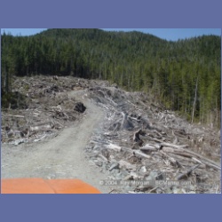 2003_1745_Houghton_Woodlot_Mereworth_Sound.html