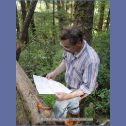 2003_1773_Houghton_Woodlot_Mereworth_Sound.html