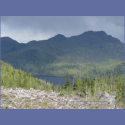 2003_1787_Houghton_Woodlot_Mereworth_Sound.html