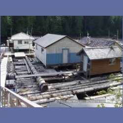 2003_1819_Houghton_Woodlot_Mereworth_Sound.html
