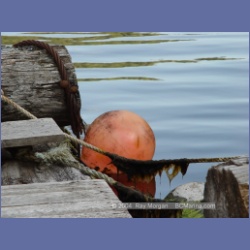 2003_1829_Houghton_Woodlot_Mereworth_Sound.html