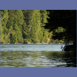 2003_1830_Houghton_Woodlot_Mereworth_Sound.html