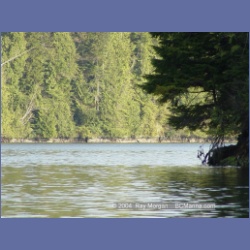 2003_1831_Houghton_Woodlot_Mereworth_Sound.html