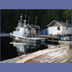 2003_1838_Houghton_Woodlot_Mereworth_Sound.html
