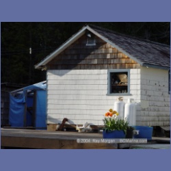 2003_1839_Houghton_Woodlot_Mereworth_Sound.html