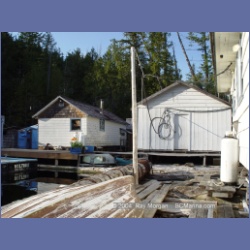 2003_1840_Houghton_Woodlot_Mereworth_Sound.html