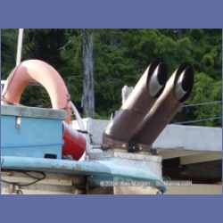 2003_1842_Houghton_Woodlot_Mereworth_Sound.html