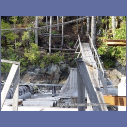 2003_1845_Houghton_Woodlot_Mereworth_Sound.html