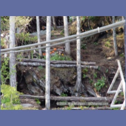 2003_1846_Houghton_Woodlot_Mereworth_Sound.html